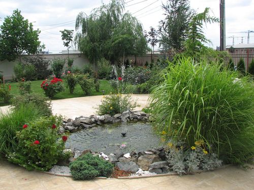 Iazuri și cascade 2