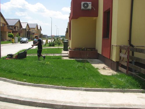 Întreținere grădini