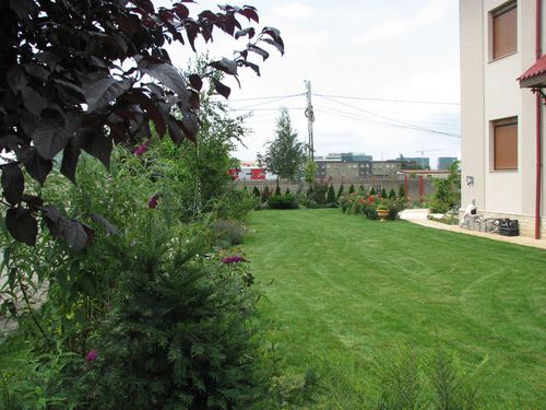 Proiectare și design 3D 17